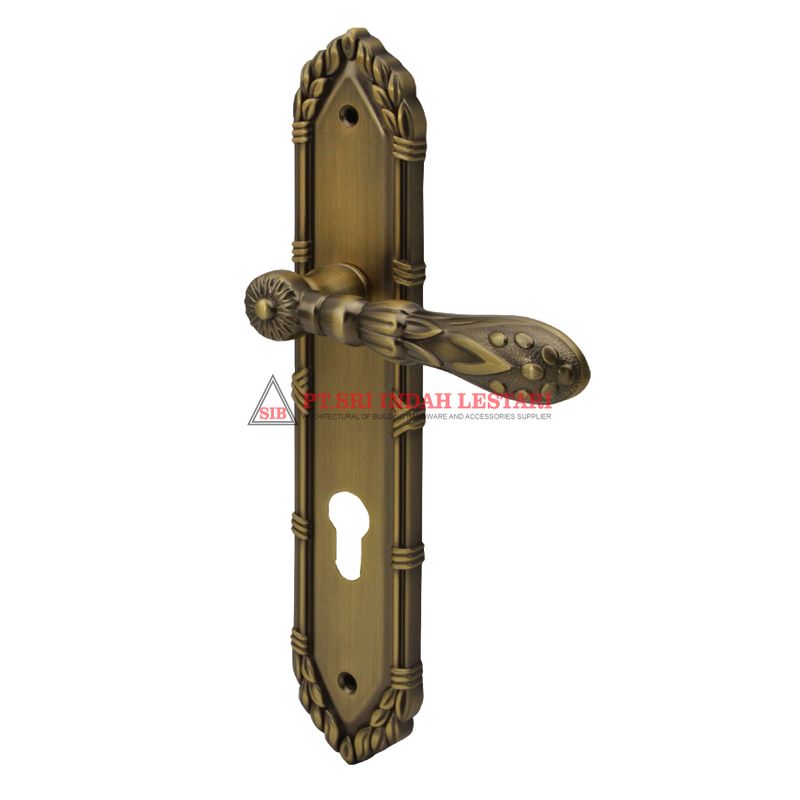 LEVER HANDLE PLATE DKS 11692 CF 2